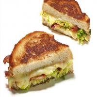 Brussels Sprout and Bacon Grilled Cheese image