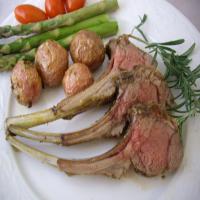Tangy Herb-Crusted Rack of Lamb image