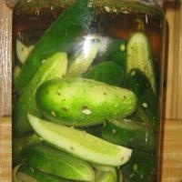 Kosher Pickles in a Crock_image