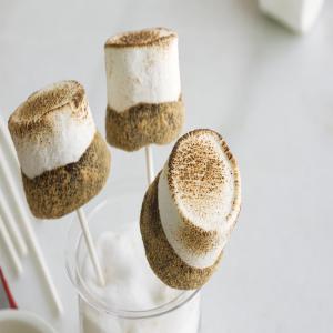 S'mores on a Stick image