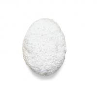 Walnut Eggnog Snowballs image
