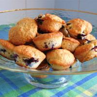 Low-Cholesterol Blueberry Muffins II_image