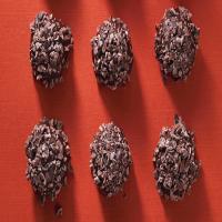 Chocolate Peanut-Butter Hedgehog Truffles image