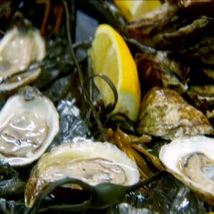 Oysters on the Half Shell_image