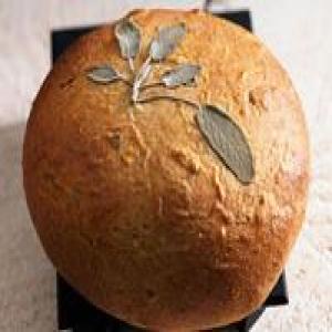 Tuscan Whole Wheat-Herb Bread_image