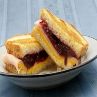 Cranberry & Cheese Grill image