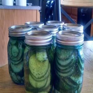 Barb's Garlic Dill Pickle Slices_image