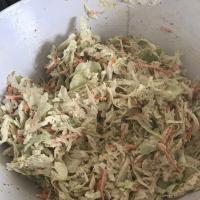 Papajoe's Coleslaw for BBQ Samiches (Sandwiches for Normal Folk) image