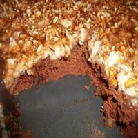 Coconut / Chocolate Sheet Cake_image