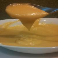 Copy Cat Wendy's Honey Mustard Dipping Sauce_image