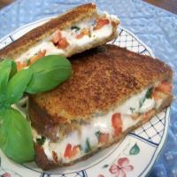 Grilled Tomato & Cheese_image