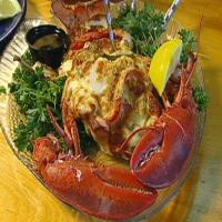 Lobster Savannah_image