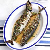 Barbecued mackerel with ginger, chilli & lime drizzle image