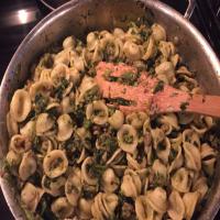 Orecchiette With Broccoli Rabe and Spicy Sausage image