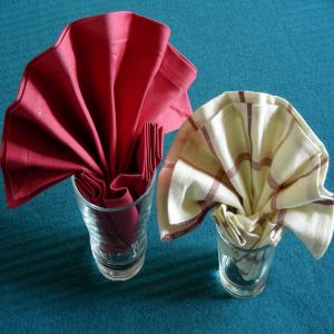 Serviette/Napkin Folding, Simple Fan Variation 2 image