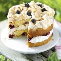 Blackberry & almond meringue cake image