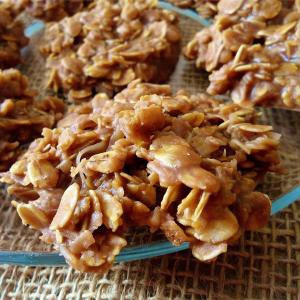 No Bake Choco-Peanut-Oatmeal Cookies_image