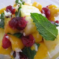 Mango Pineapple Salad with Mint_image