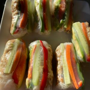 Spring Rolls with Coconut Peanut Sauce_image