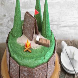 Double Chocolate S'mores Camp Cake_image