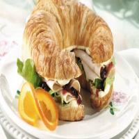 Roasted Chicken and Cranberry Croissants_image