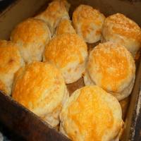 Old Time Cheddar Biscuits_image