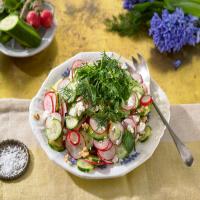 Herb and Radish Salad With Feta and Walnuts image