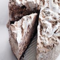 Chocolate Ice Cream Cake with Hazelnuts and Marshmallow Swirl image