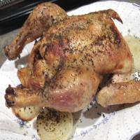 Roast Chicken With Italian Seasonings_image