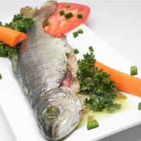 Greggae's Bacon Trout_image