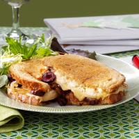 Gourmet Grilled Cheese Sandwich image