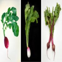 Braised Turnips and Radishes image