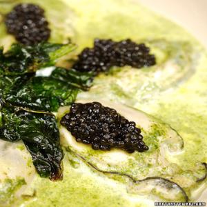 Poached Oysters in Pernod Cream_image