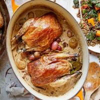 Pot-roast pheasant with fino & porcini_image