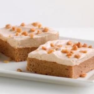 Spiced Pudding Squares_image
