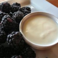 Tequila Fruit Dip and Dressing_image