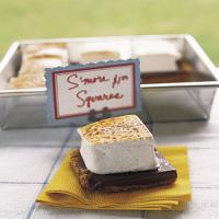 S'more Squares_image