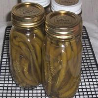 Garlic Pickled Green Beans image