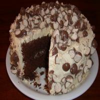 Triple Malted Chocolate Cake With Vanilla Malted Frosting image