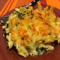Gouda Penne With Spinach image