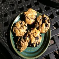 Easy Low-Carb Lemon Blueberry Nut Butter Muffins image