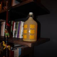 Homemade Ginger Ale_image