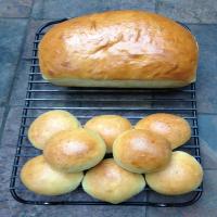 Japanese Milk Bread or Rolls With Sourdough_image