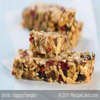 Dried Fruit and Nut Granola Bar_image