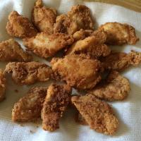 Will's Spicy New Orleans Catfish Fries_image