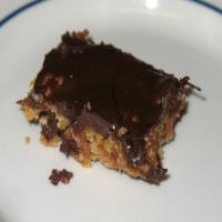 Peanut Butter Bars With Milk Chocolate Frosting image