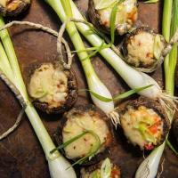 Sicilian Stuffed Mushrooms | Traeger Grills_image