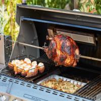 Grilled Rotisserie Turkey with Stuffing image