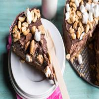 Peanut Butter S'mores Ice Cream Cake_image