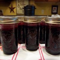 Karen's Homemade Grape Jelly_image